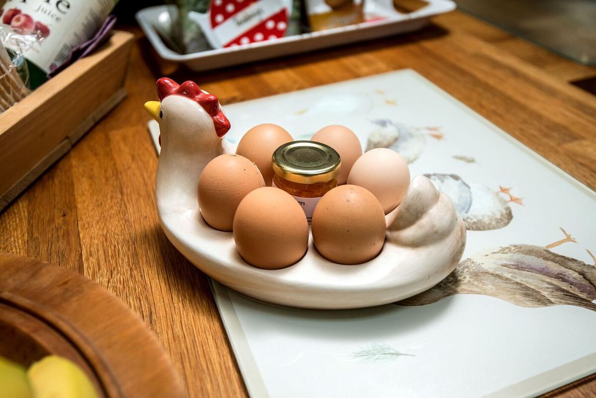 Bowl of fresh brown eggs on a tray